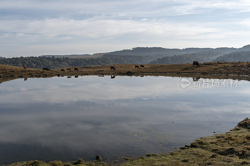 巴西南部湖的风景，Cambará do Sul，里约热内卢Grande do Sul